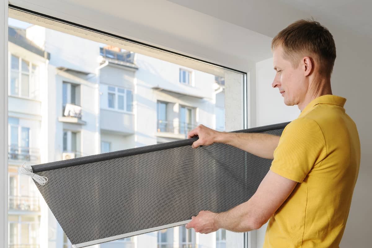 Man is holding fabric window blind gray