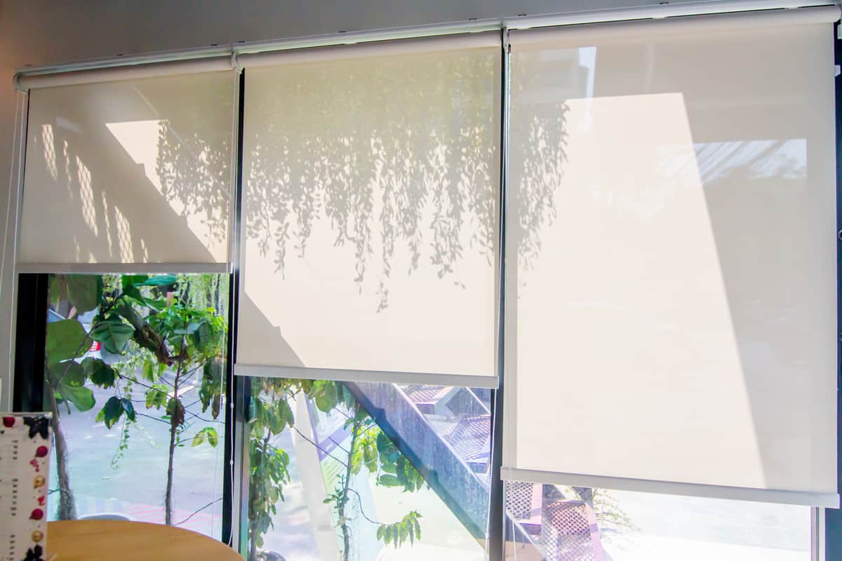 White roller blind in the glass room that protect hot sun and the shadow of hanging ornamental plants.